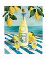 Picture of Sunshine in a Bottle _GroupedProduct_Rectangle_Portrait_Unframed_Print_Only_