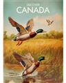 Picture of Canadian Mallard  _GroupedProduct_Rectangle_Portrait_Unframed_Print_Only_
