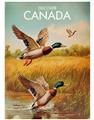 Picture of Canadian Mallard  _GroupedProduct_Rectangle_Portrait_Unframed_Print_Only_