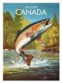Picture of Canadian Seabass _GroupedProduct_Rectangle_Portrait_Unframed_Print_Only_