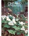 Picture of White Trillium _GroupedProduct_Rectangle_Portrait_Unframed_Print_Only_