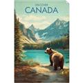 Picture of Canadian Brown Bear _GroupedProduct_Rectangle_Portrait_Unframed_Print_Only_