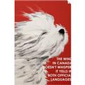Picture of Wind Blown _GroupedProduct_Rectangle_Portrait_Unframed_Print_Only_