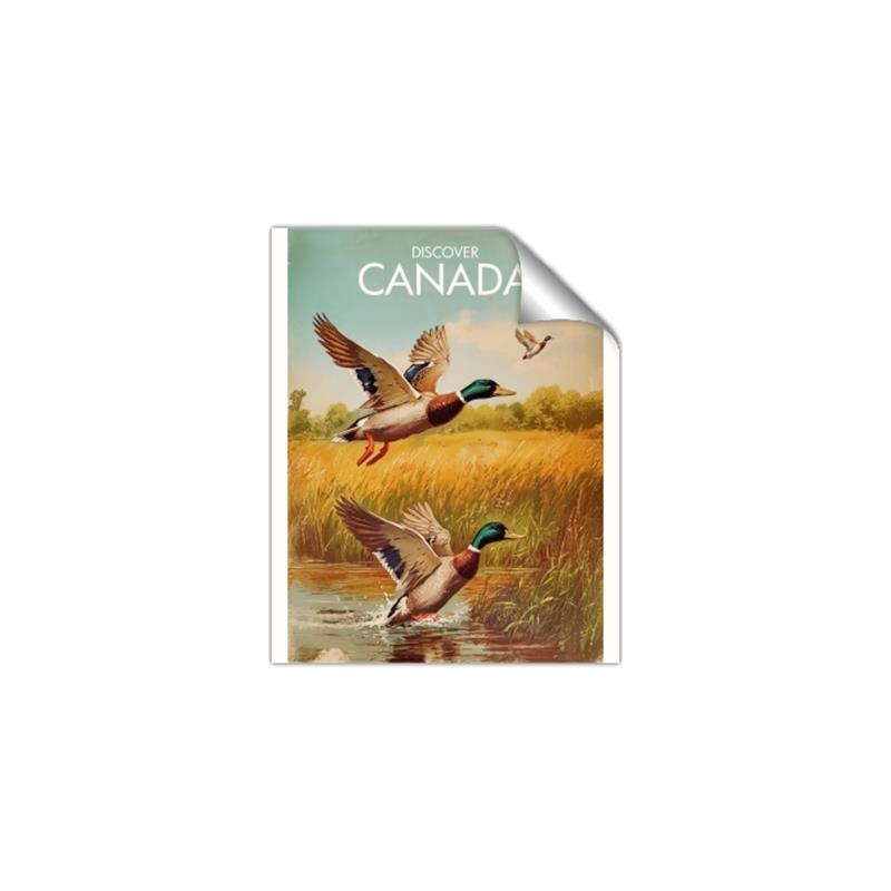 Picture of Canadian Mallard  _GroupedProduct_Rectangle_Portrait_Unframed_Print_Only_