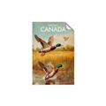 Picture of Canadian Mallard  _GroupedProduct_Rectangle_Portrait_Unframed_Print_Only_