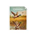 Picture of Canadian Mallard  _GroupedProduct_Rectangle_Portrait_Unframed_Print_Only_