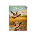 Picture of Canadian Mallard  _GroupedProduct_Rectangle_Portrait_Unframed_Print_Only_