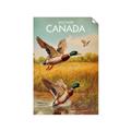 Picture of Canadian Mallard  _GroupedProduct_Rectangle_Portrait_Unframed_Print_Only_