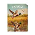 Picture of Canadian Mallard  _GroupedProduct_Rectangle_Portrait_Unframed_Print_Only_