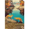 Picture of Wild Ontario _GroupedProduct_Rectangle_Portrait_Unframed_Print_Only_