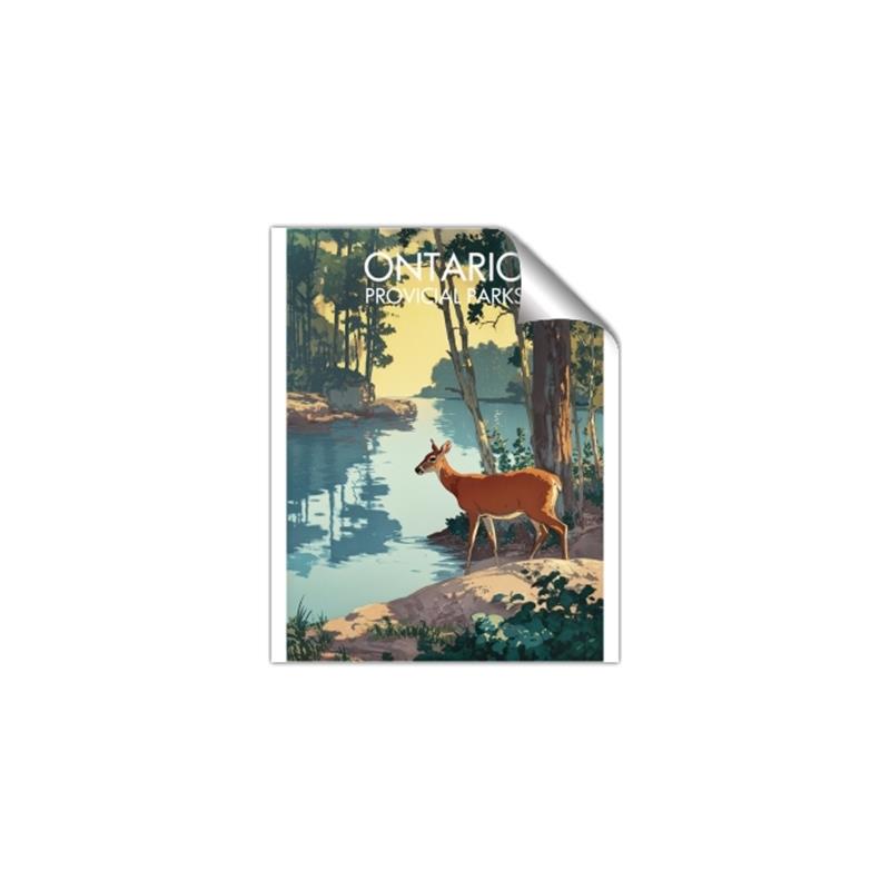 Picture of Reflections of the Wild _GroupedProduct_Rectangle_Portrait_Unframed_Print_Only_
