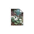 Picture of White Trillium _GroupedProduct_Rectangle_Portrait_Unframed_Print_Only_