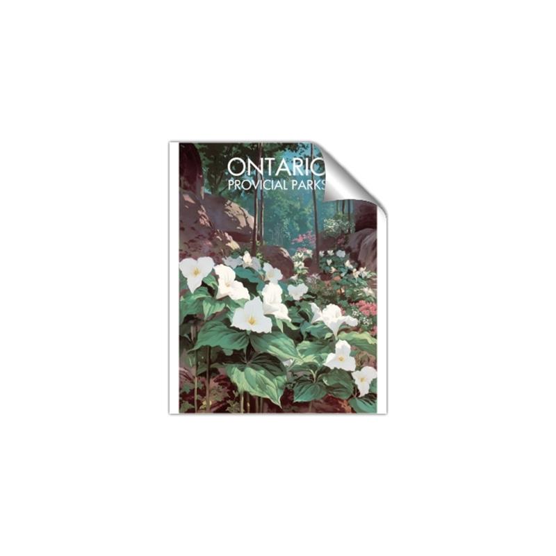 Picture of White Trillium _GroupedProduct_Rectangle_Portrait_Unframed_Print_Only_