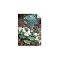 Picture of White Trillium _GroupedProduct_Rectangle_Portrait_Unframed_Print_Only_