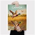Picture of Canadian Mallard  _GroupedProduct_Rectangle_Portrait_Canvas_