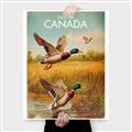 Picture of Canadian Mallard  _GroupedProduct_Rectangle_Portrait_Canvas_