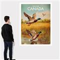 Picture of Canadian Mallard  _GroupedProduct_Rectangle_Portrait_Canvas_