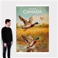 Picture of Canadian Mallard  _GroupedProduct_Rectangle_Portrait_Canvas_