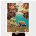 Picture of Wild Ontario _GroupedProduct_Rectangle_Portrait_Canvas_