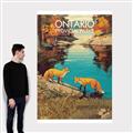 Picture of Wild Ontario _GroupedProduct_Rectangle_Portrait_Canvas_