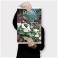 Picture of White Trillium _GroupedProduct_Rectangle_Portrait_Canvas_