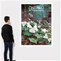 Picture of White Trillium _GroupedProduct_Rectangle_Portrait_Canvas_