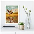 Picture of Canadian Mallard  _GroupedProduct_Rectangle_Portrait_Canvas_