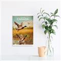 Picture of Canadian Mallard  _GroupedProduct_Rectangle_Portrait_Canvas_