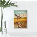 Picture of Canadian Mallard  _GroupedProduct_Rectangle_Portrait_Canvas_