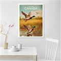 Picture of Canadian Mallard  _GroupedProduct_Rectangle_Portrait_Canvas_