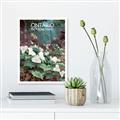 Picture of White Trillium _GroupedProduct_Rectangle_Portrait_Canvas_
