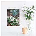 Picture of White Trillium _GroupedProduct_Rectangle_Portrait_Canvas_
