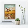 Picture of Canadian Mallard  _GroupedProduct_Rectangle_Portrait_Canvas_Framed_