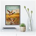 Picture of Canadian Mallard  _GroupedProduct_Rectangle_Portrait_Canvas_Framed_