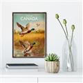 Picture of Canadian Mallard  _GroupedProduct_Rectangle_Portrait_Canvas_Framed_