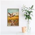 Picture of Canadian Mallard  _GroupedProduct_Rectangle_Portrait_Canvas_Framed_