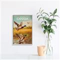 Picture of Canadian Mallard  _GroupedProduct_Rectangle_Portrait_Canvas_Framed_