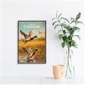 Picture of Canadian Mallard  _GroupedProduct_Rectangle_Portrait_Canvas_Framed_