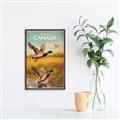 Picture of Canadian Mallard  _GroupedProduct_Rectangle_Portrait_Canvas_Framed_