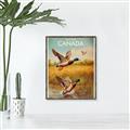 Picture of Canadian Mallard  _GroupedProduct_Rectangle_Portrait_Canvas_Framed_