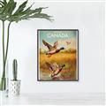 Picture of Canadian Mallard  _GroupedProduct_Rectangle_Portrait_Canvas_Framed_