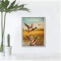 Picture of Canadian Mallard  _GroupedProduct_Rectangle_Portrait_Canvas_Framed_