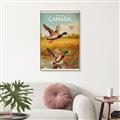 Picture of Canadian Mallard  _GroupedProduct_Rectangle_Portrait_Canvas_Framed_