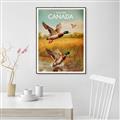 Picture of Canadian Mallard  _GroupedProduct_Rectangle_Portrait_Canvas_Framed_