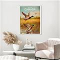 Picture of Canadian Mallard  _GroupedProduct_Rectangle_Portrait_Canvas_Framed_