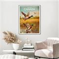 Picture of Canadian Mallard  _GroupedProduct_Rectangle_Portrait_Canvas_Framed_
