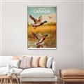 Picture of Canadian Mallard  _GroupedProduct_Rectangle_Portrait_Canvas_Framed_