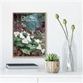 Picture of White Trillium _GroupedProduct_Rectangle_Portrait_Canvas_Framed_