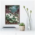 Picture of White Trillium _GroupedProduct_Rectangle_Portrait_Canvas_Framed_