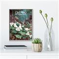 Picture of White Trillium _GroupedProduct_Rectangle_Portrait_Canvas_Framed_